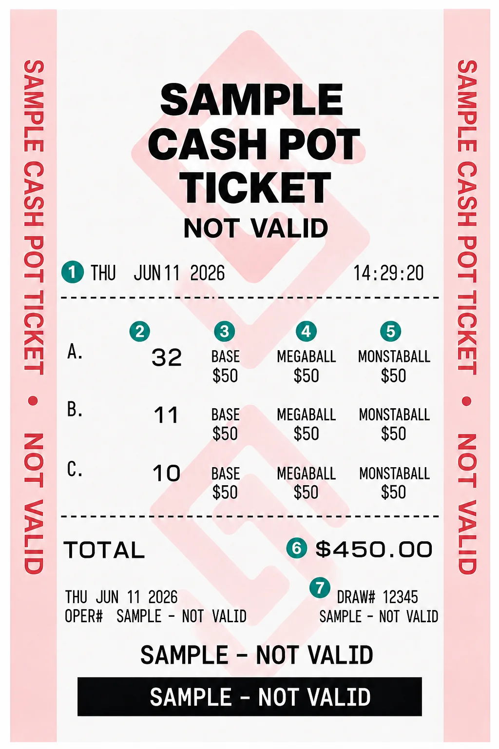 Privacy-safe sample Cash Pot ticket with numbered markers for the date, selected number, stakes, total and draw number
